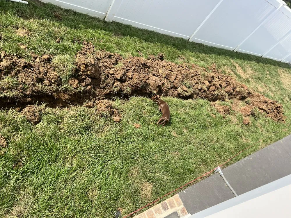 Professional outdoor landscaping for beautiful yards in Murfreesboro, TN by Green Path Landscape Company