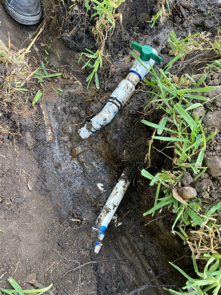 Reliable landscape installation experts serving Houston, TX - Green Path Landscapes