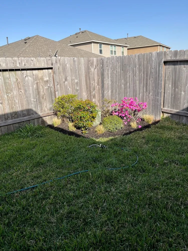 Trusted yard cleanup service in Houston, TX by Green Path Landscapes