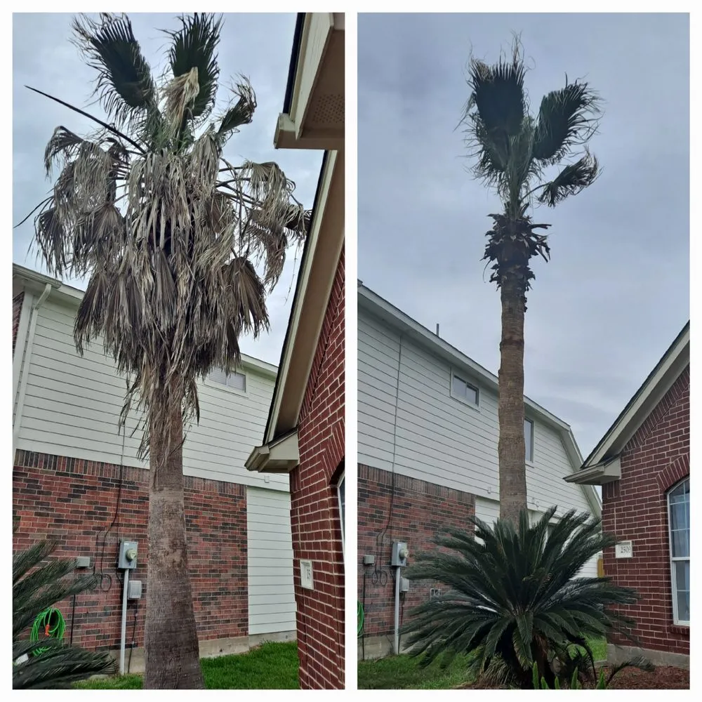 Local lawn mowing service in Houston, TX - Green Path Landscapes