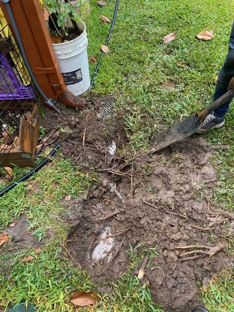 Local yard maintenance in Houston, TX - Green Path Landscapes