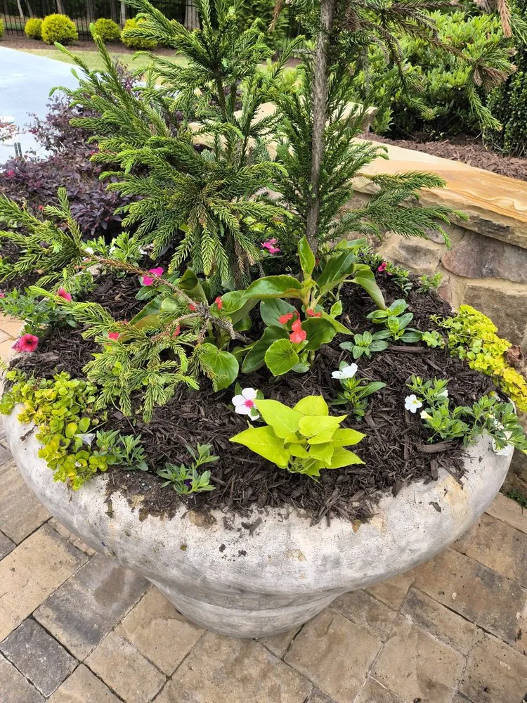 Trusted lawn care service near you across Gainesville, GA - Green Path Landscaping