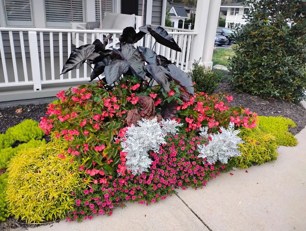 Trusted lawn mowing service for residential properties in Gainesville, GA by Green Path Landscaping