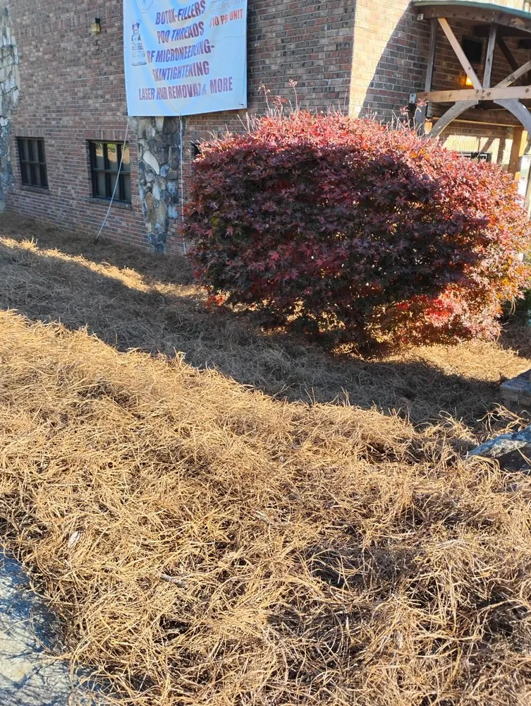 Affordable yard cleanup service experts serving Gainesville, GA - Green Path Landscaping