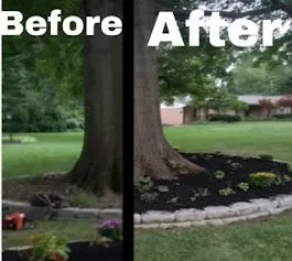 Affordable yard cleanup service for homes in Saint Charles, MO by Green Path Service