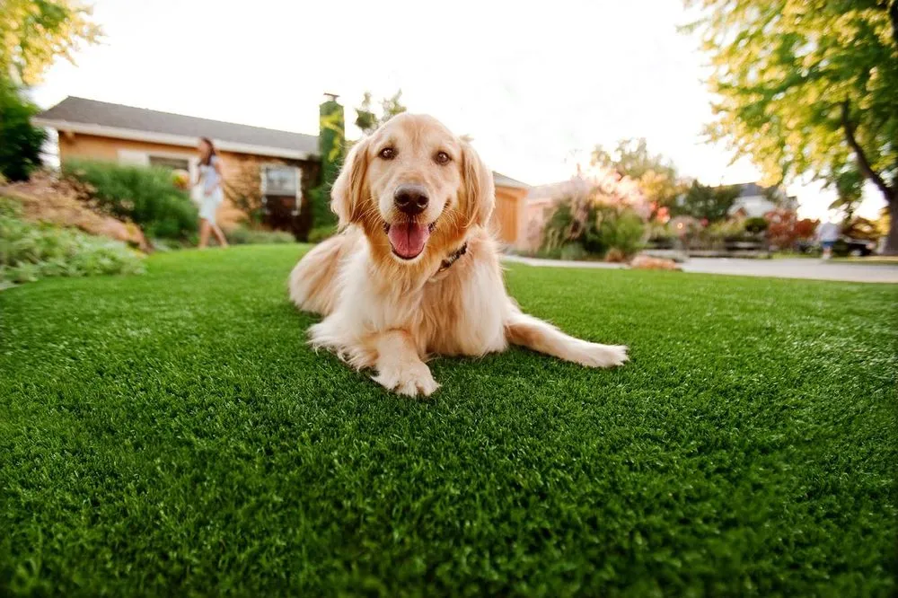 Affordable lawn care service with custom design across Rock Hill, SC - Green Paws Lawn Care