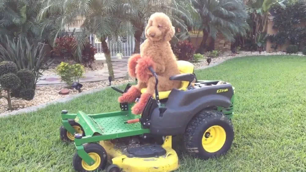 Affordable garden landscaping for residential properties in Rock Hill, SC by Green Paws Lawn Care