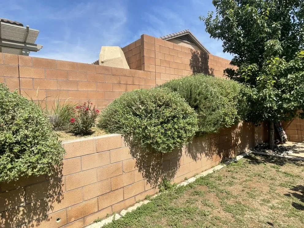 Trusted yard cleanup service near you in Albuquerque, NM by Green Peak Landscaping