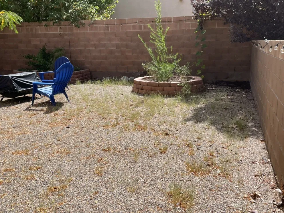 Trusted lawn care service in Albuquerque, NM by Green Peak Landscaping