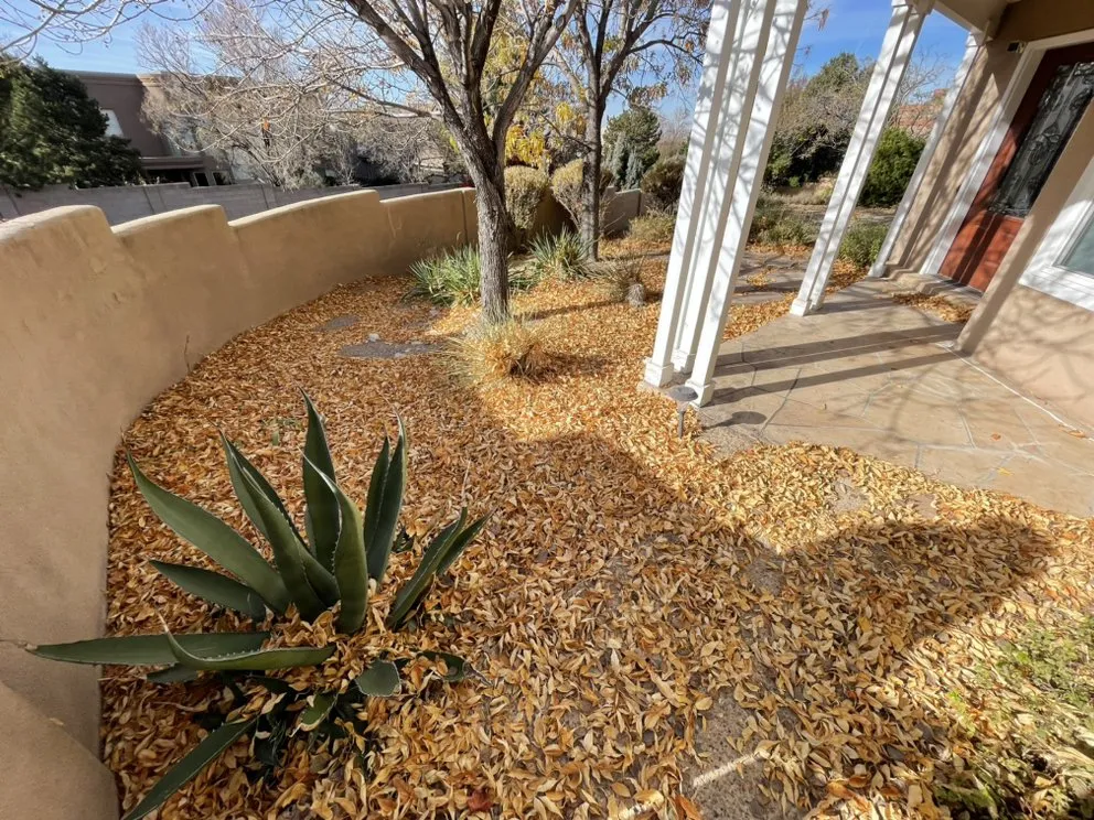 Trusted yard cleanup service for homes across Albuquerque, NM - Green Peak Landscaping