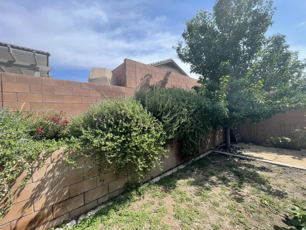 Reliable yard cleanup service for year-round maintenance in Albuquerque, NM by Green Peak Landscaping