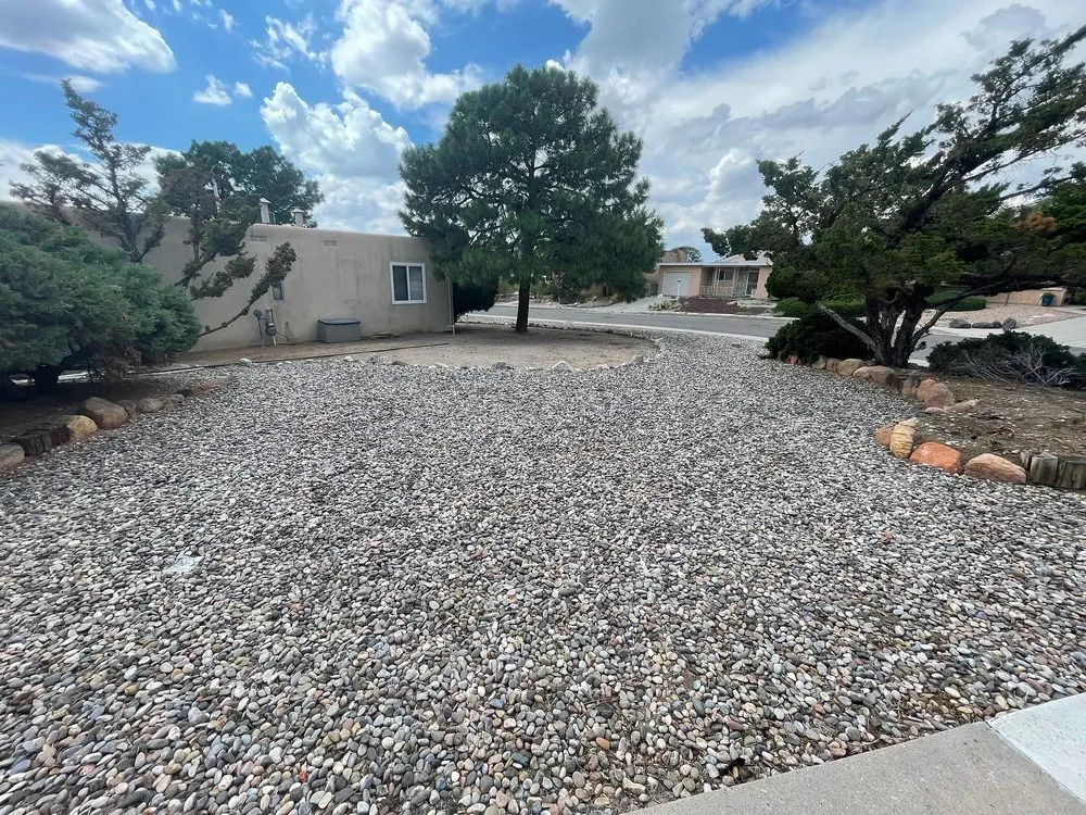 Expert yard cleanup service in Albuquerque, NM by Green Peak Landscaping