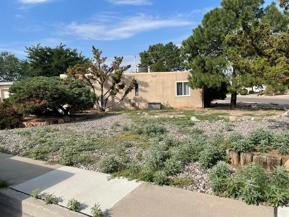 Trusted yard cleanup service for outdoor upgrades across Albuquerque, NM - Green Peak Landscaping