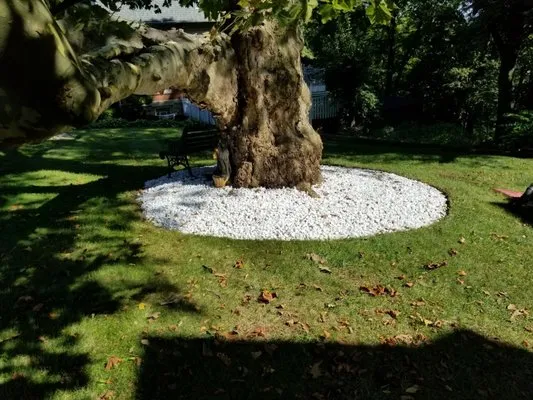 Green Peak Lawn & Landscape