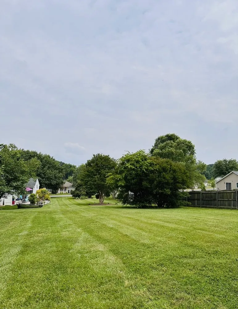 Trusted lawn mowing service in Unionville, NC by Green Pine Landscaping