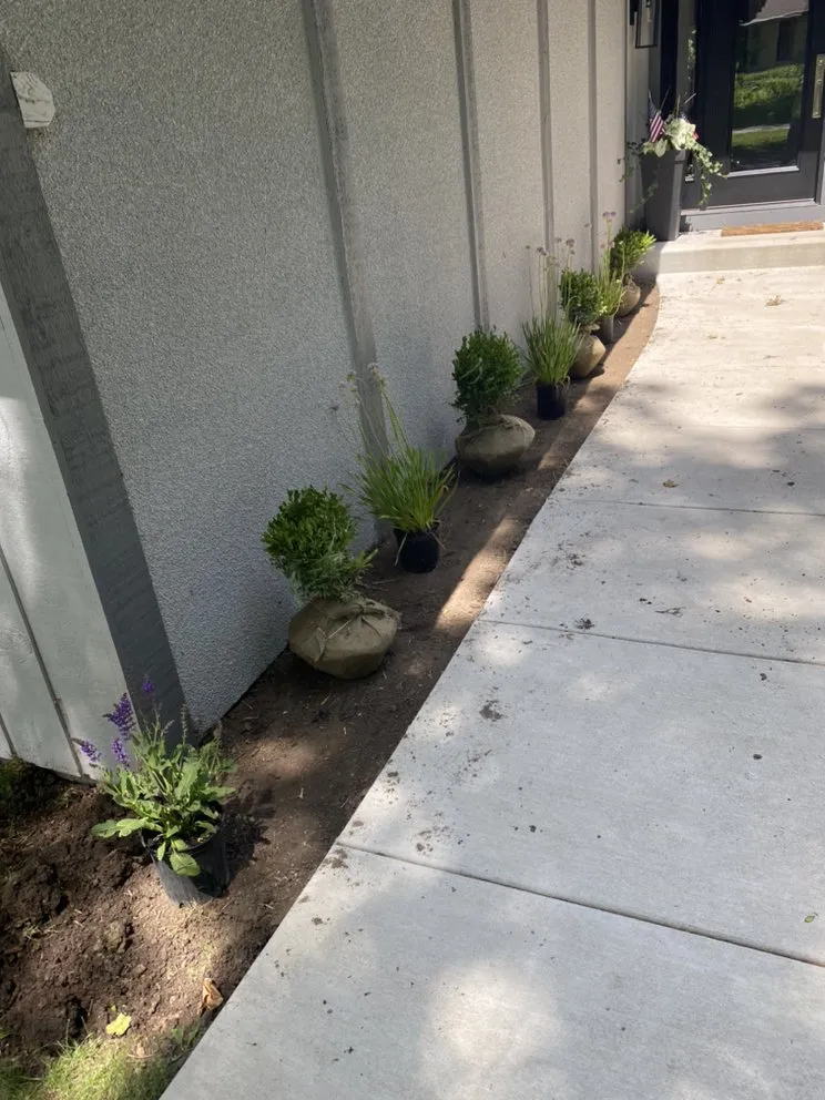 Affordable yard maintenance for residential properties in Walworth, WI by Green Pine Landscaping