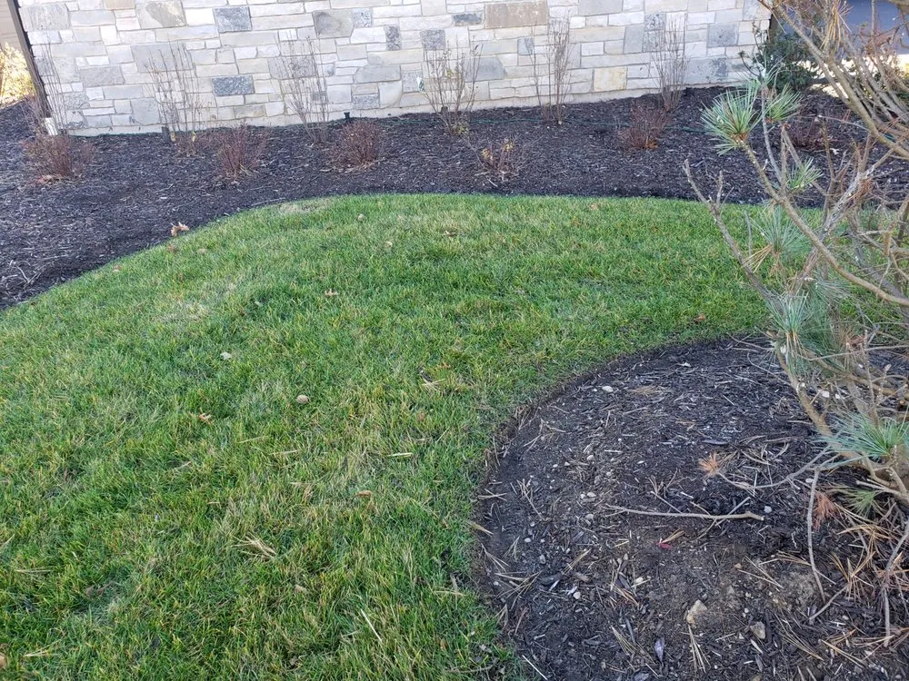 Reliable landscaping services for beautiful yards across Walworth, WI - Green Pine Landscaping