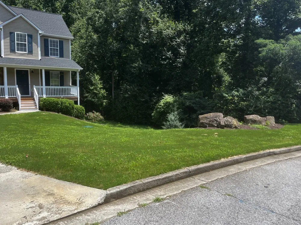 Reliable yard cleanup service near you in Winder, GA by Green Pines Tree Solutions