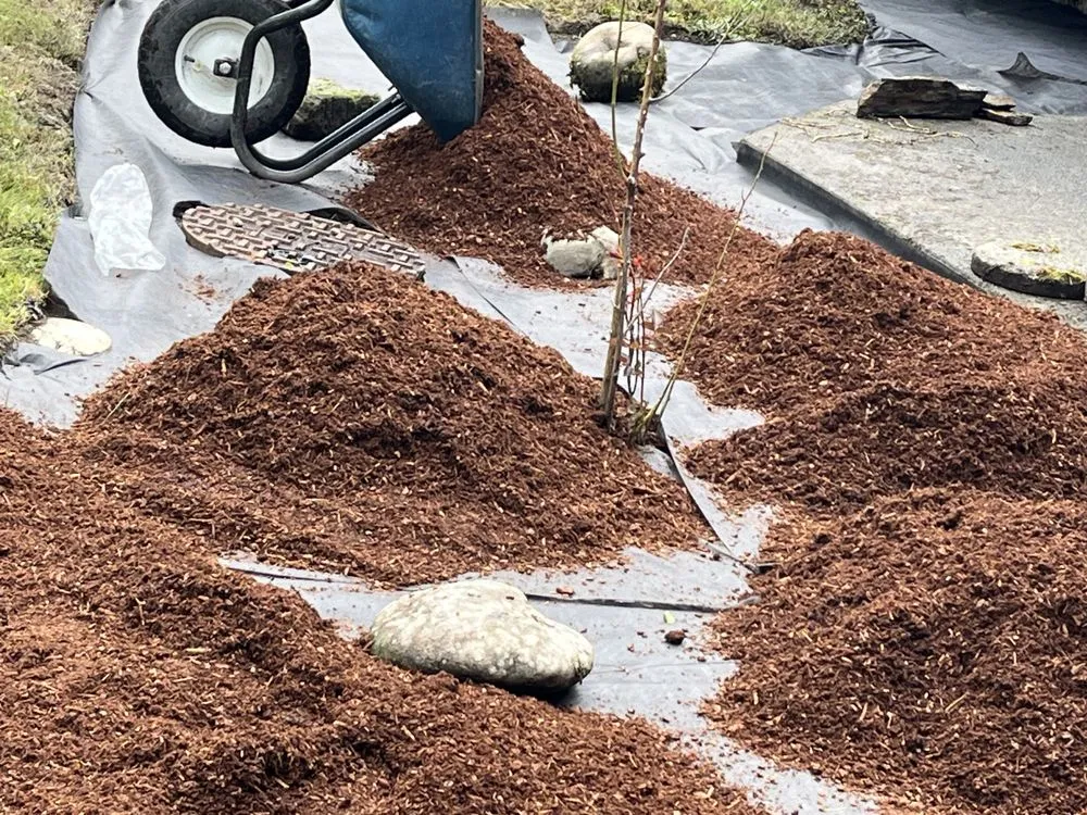 Expert lawn care service with custom design across Tacoma, WA - Green Place Landscaping