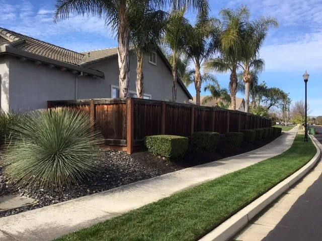 Local landscape design experts serving Brentwood, CA - Green Planet Landscape