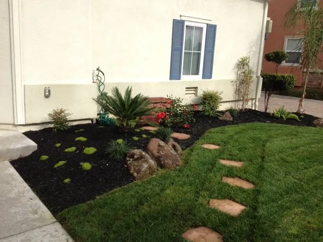 Expert landscaping services in Brentwood, CA - Green Planet Landscape