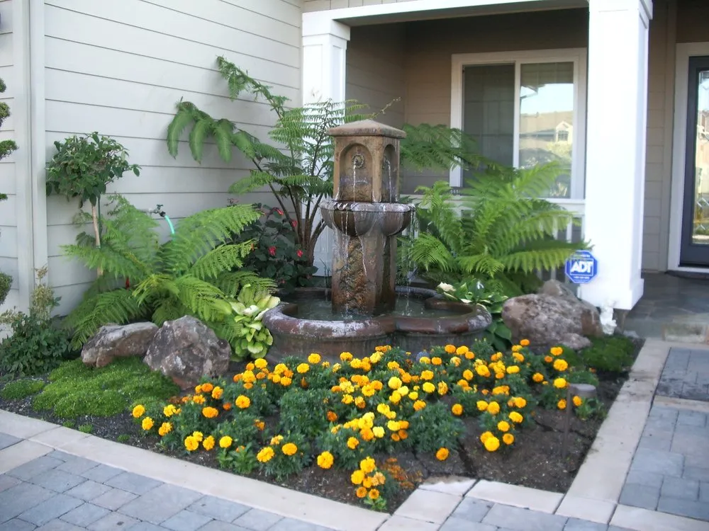Reliable yard cleanup service in Brentwood, CA - Green Planet Landscape