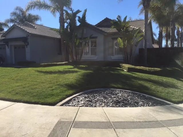 Local landscape installation in Brentwood, CA - Green Planet Landscape