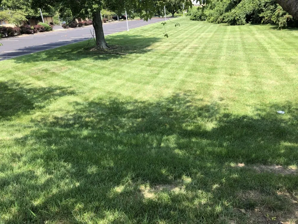 Expert landscape installation experts serving Newark, DE - Green Planet Landscape