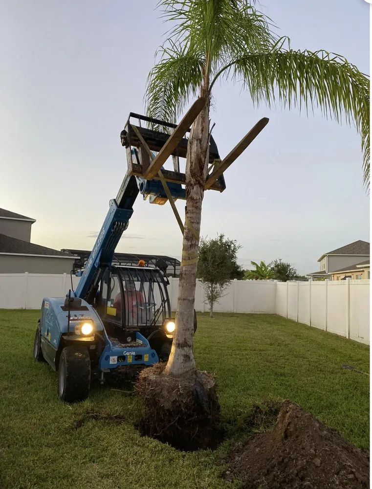 Affordable outdoor landscaping experts serving Orlando, FL - Green Planet Landscape