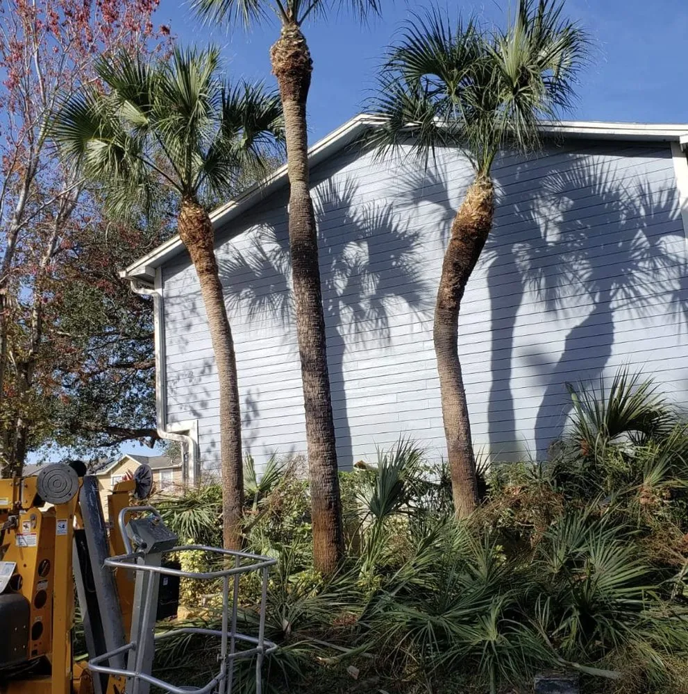 Trusted landscape installation in Orlando, FL by Green Planet Landscape