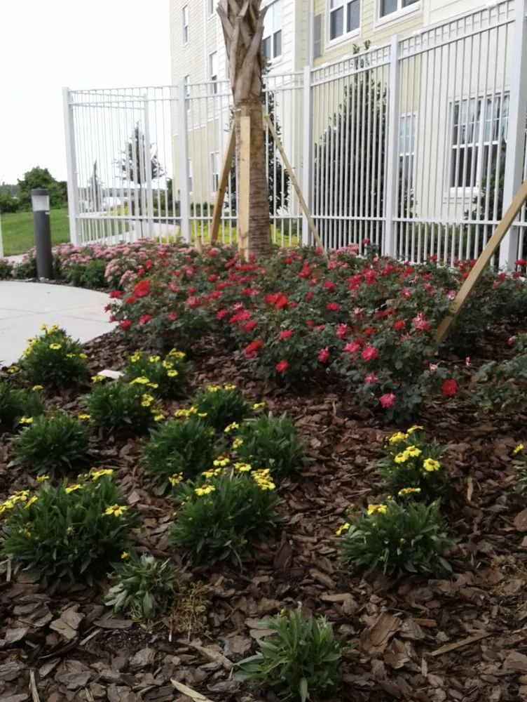 Expert yard cleanup service in Orlando, FL by Green Planet Landscape