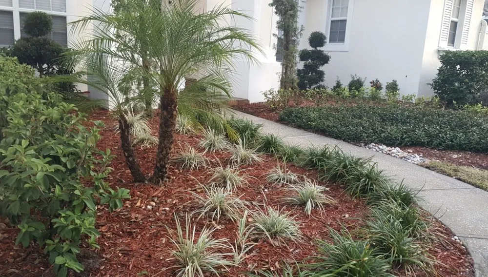 Reliable lawn mowing service in Orlando, FL by Green Planet Landscape