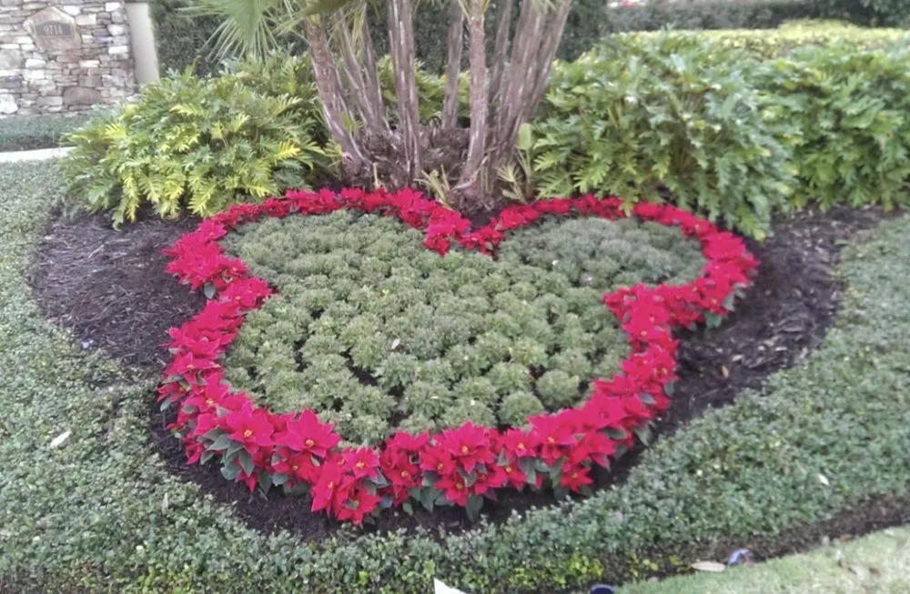 Local garden landscaping in Orlando, FL by Green Planet Landscape