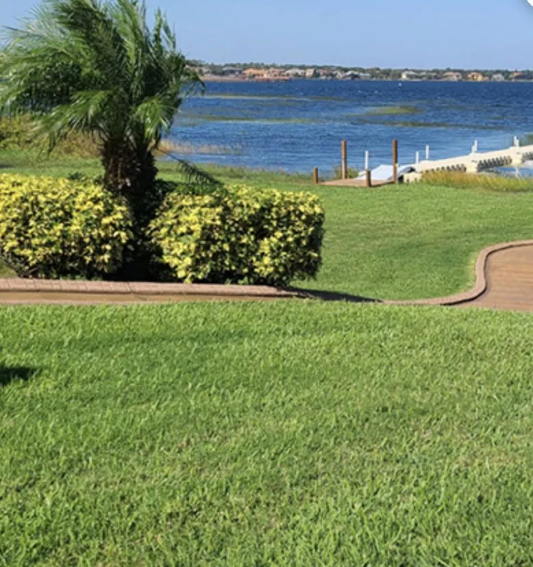 Top-rated yard cleanup service experts serving Orlando, FL - Green Planet Landscape