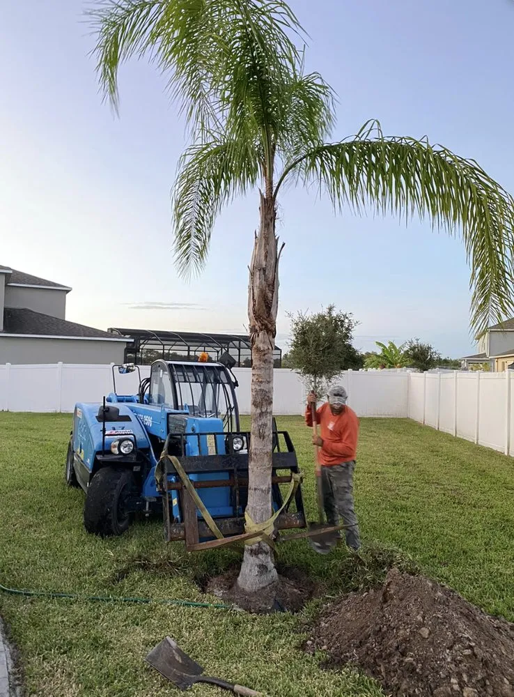 Local landscape installation in Orlando, FL by Green Planet Landscape