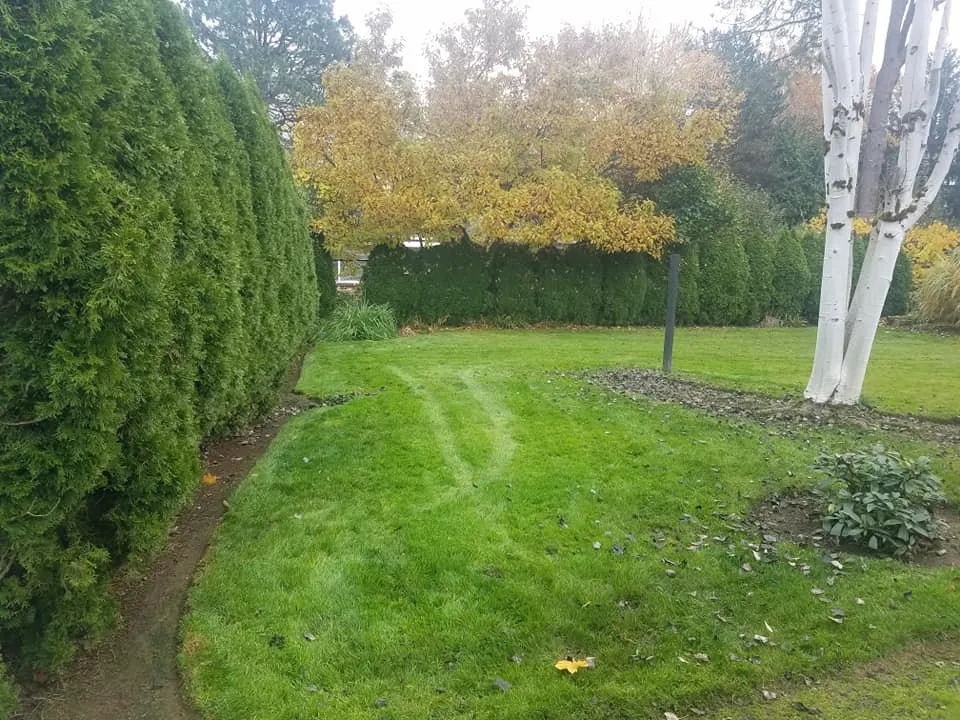 Trusted lawn mowing service in Hillsboro, OR - GREEN PLANET LANDSCAPING