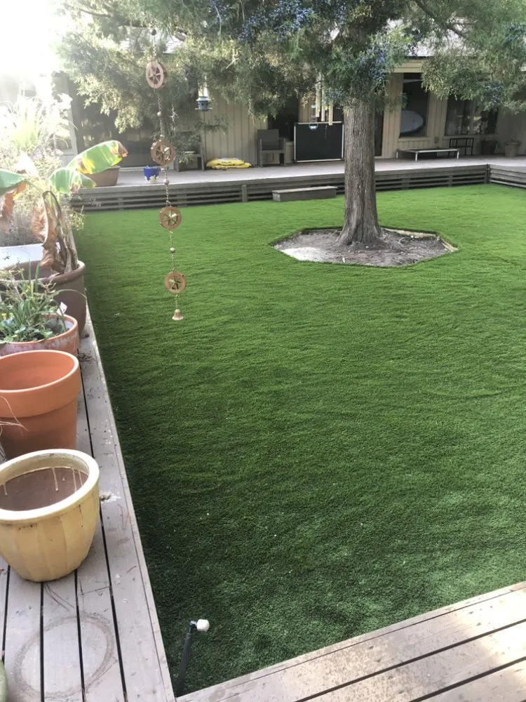 Expert outdoor landscaping in Hilton Head Island, SC by Green Planet Landscaping