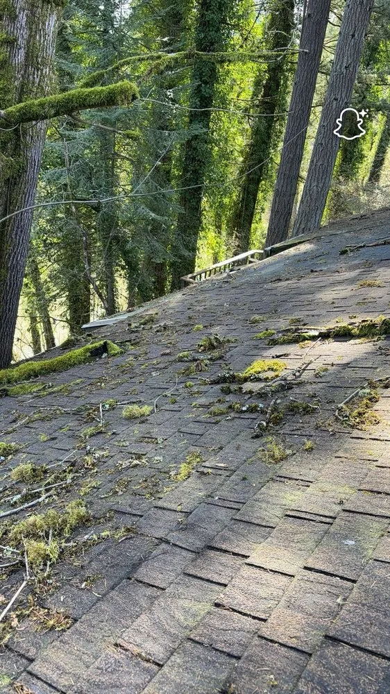 Trusted garden landscaping experts serving Newberg, OR - Green Planet Landscaping Services