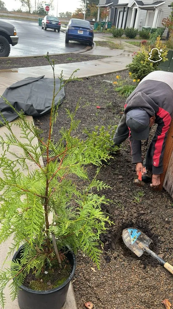 Professional landscape design in Newberg, OR by Green Planet Landscaping Services