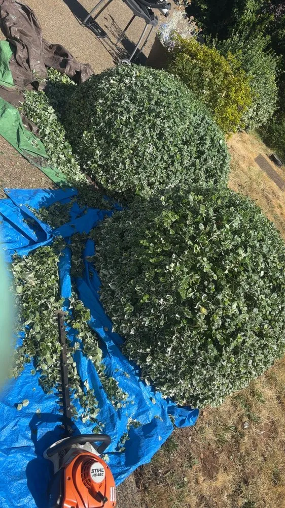 Custom lawn care service in Newberg, OR by Green Planet Landscaping Services