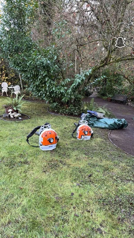 Affordable residential landscaping in Newberg, OR by Green Planet Landscaping Services