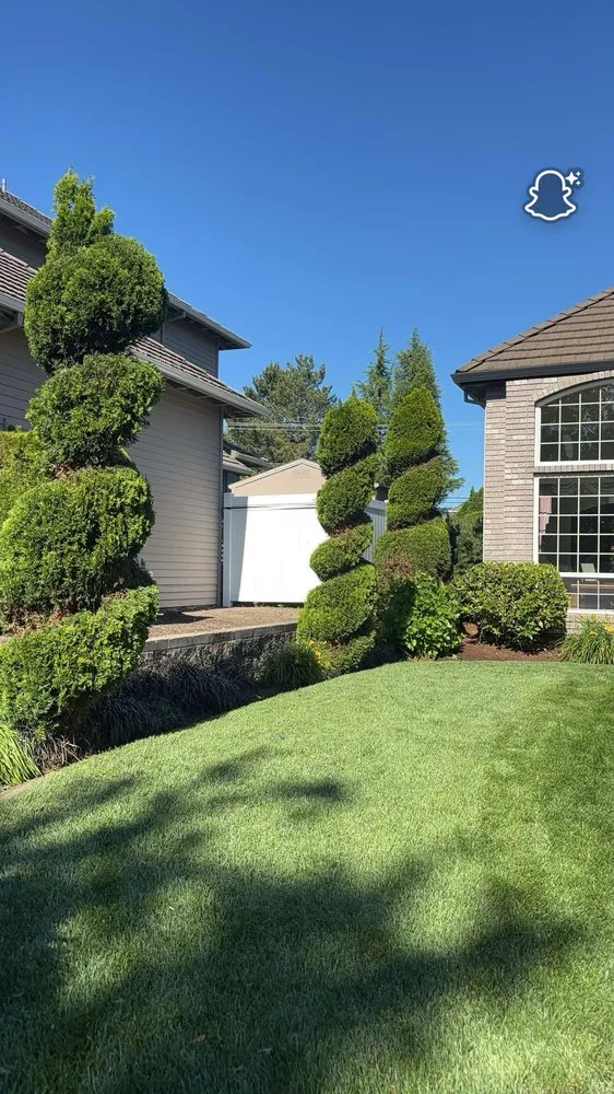 Affordable landscape installation in Newberg, OR by Green Planet Landscaping Services