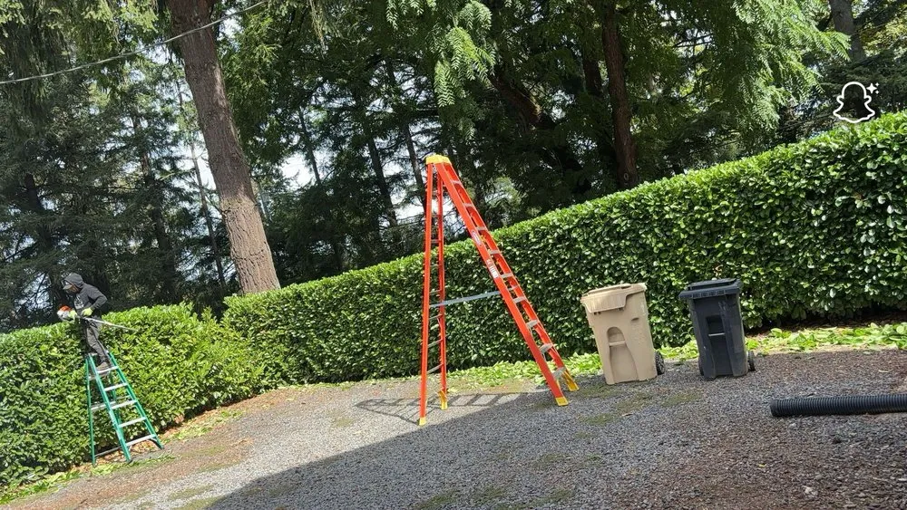 Custom lawn care service for outdoor upgrades in Newberg, OR by Green Planet Landscaping Services