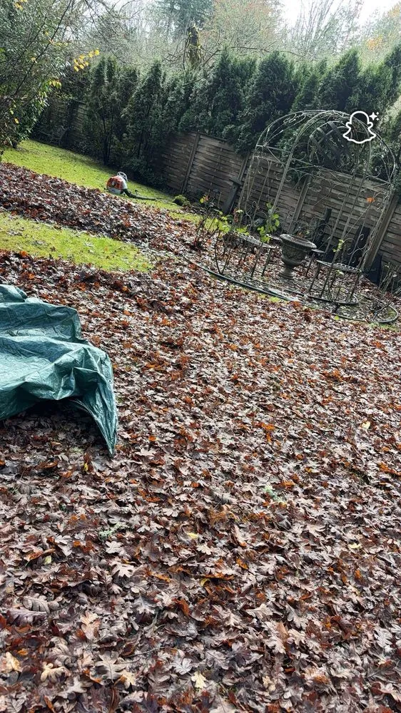 Expert residential landscaping for year-round maintenance across Newberg, OR - Green Planet Landscaping Services