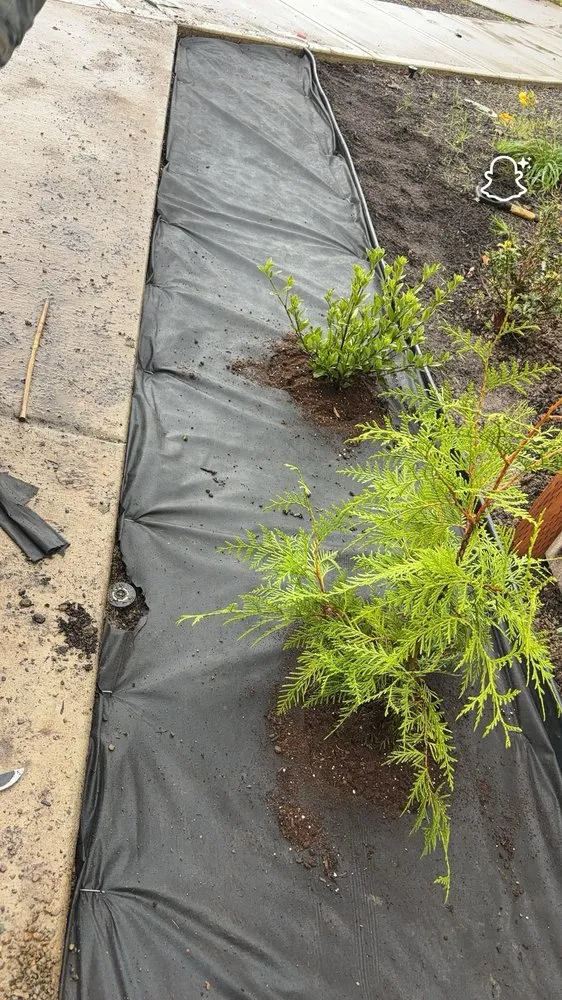 Trusted yard maintenance in Newberg, OR - Green Planet Landscaping Services