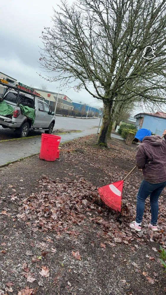 Local yard cleanup service experts serving Newberg, OR - Green Planet Landscaping Services