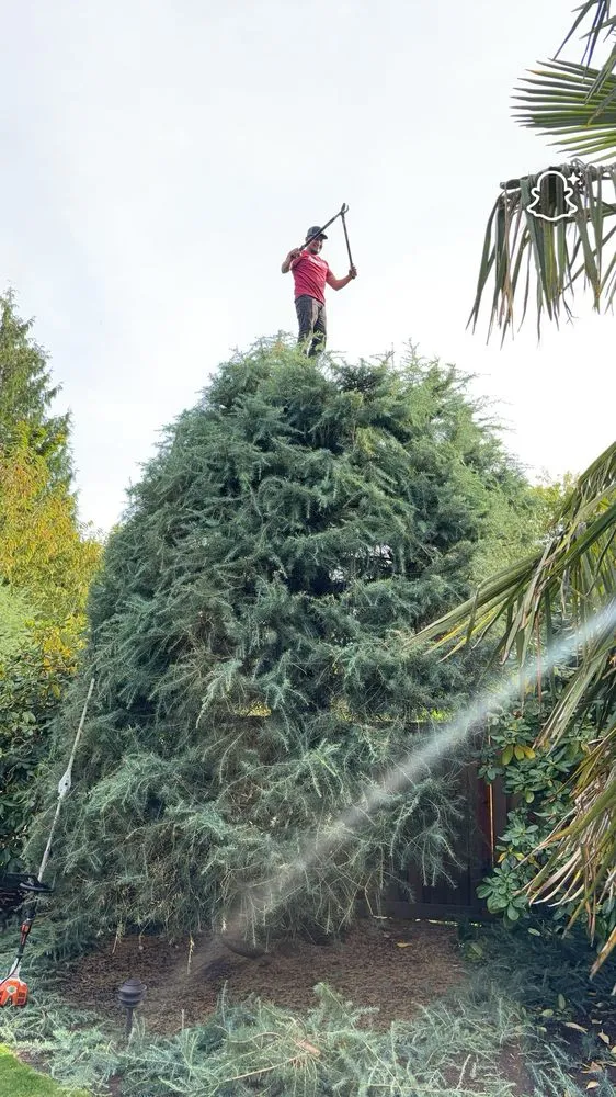 Top-rated residential landscaping near you in Newberg, OR by Green Planet Landscaping Services