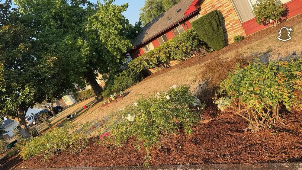 Expert lawn mowing service experts serving Newberg, OR - Green Planet Landscaping Services