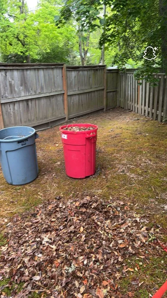 Local lawn care service for beautiful yards across Newberg, OR - Green Planet Landscaping Services