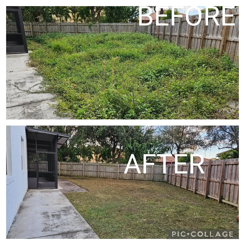 Top-rated yard cleanup service in Homestead, FL - Green Planet Lawn Maintenance